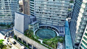 Domestic Corporation in the Philippines