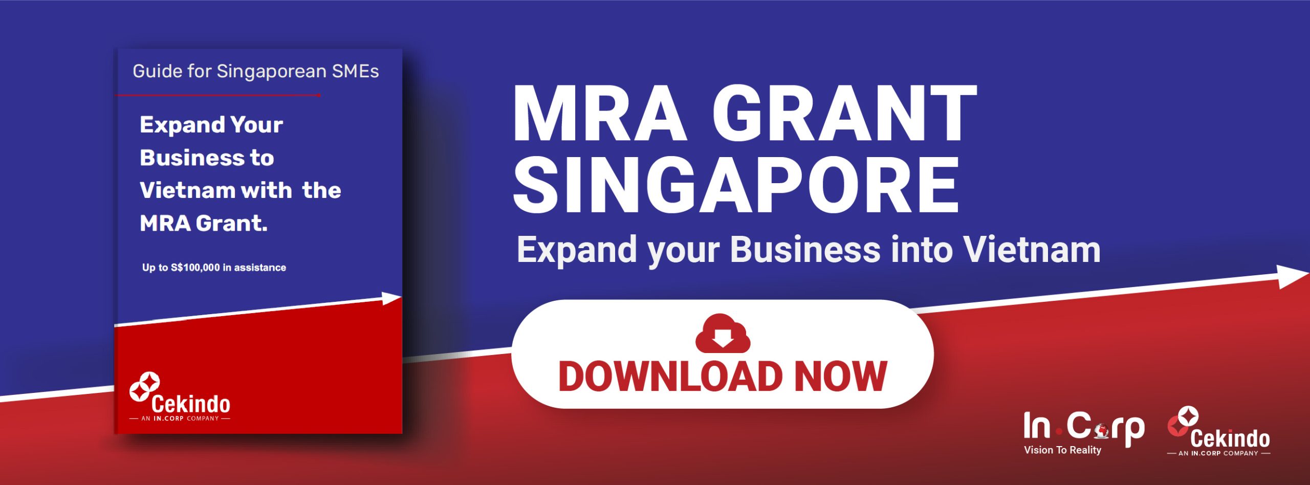 Download the MRA Grant Singapore
