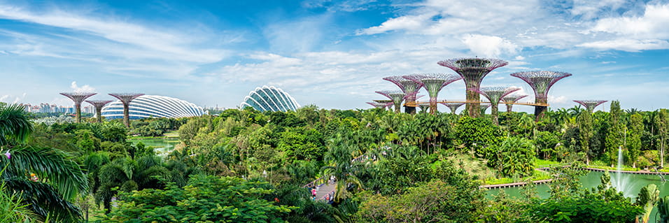 Sustainability in Singapore How it Spurs Sustainable Innovation