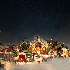 The winner takes it all! Gingerbread Village by McGinger Puffs.