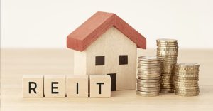 Real Estate Investment Trusts (REITs)