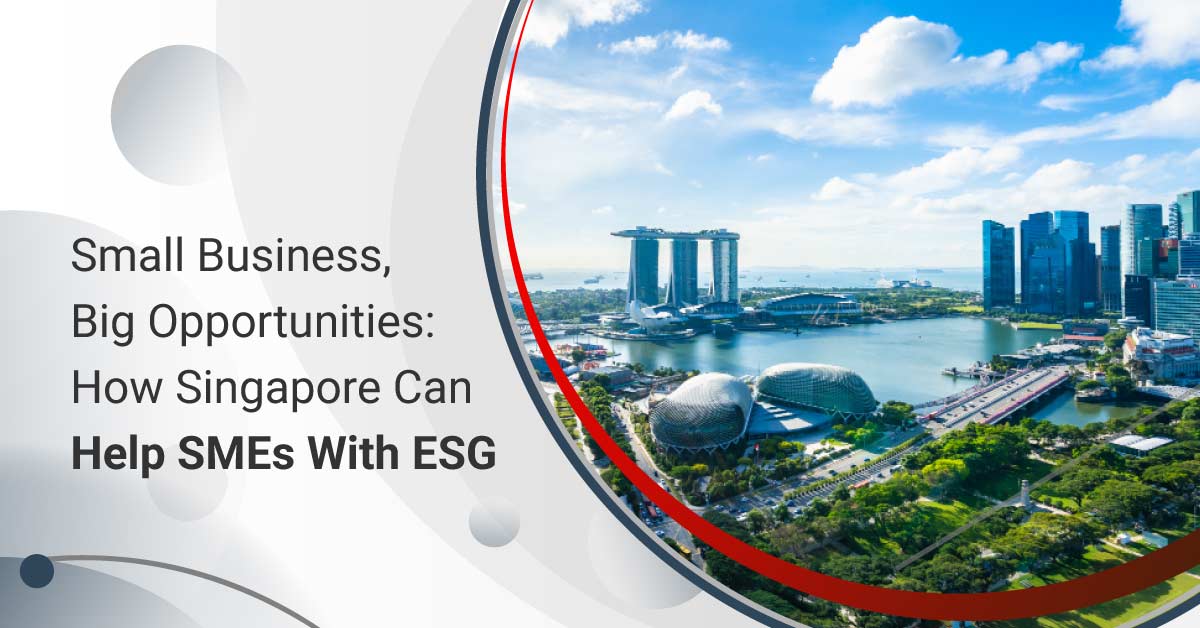 Small Business, Big Opportunities: How Singapore Can Help SMEs With ESG