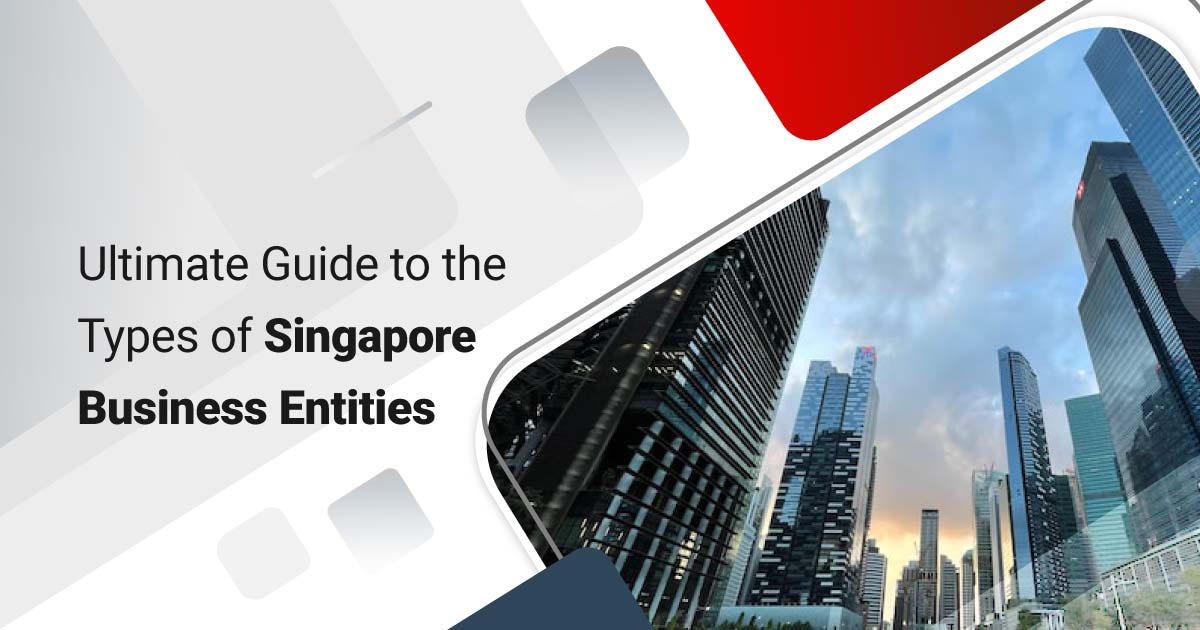 Ultimate Guide to the Types of Singapore Business Entities