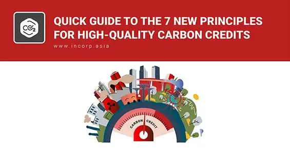 How Does Singapore Ensure High-Quality Carbon Credits?