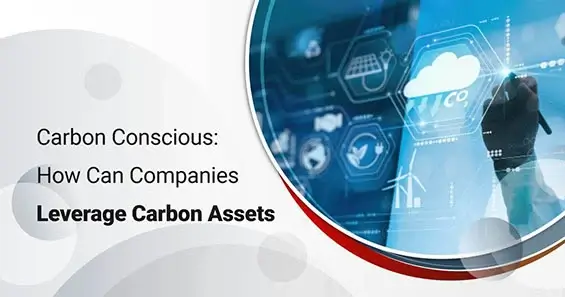 Carbon Conscious: How Can Companies Leverage Carbon Assets?