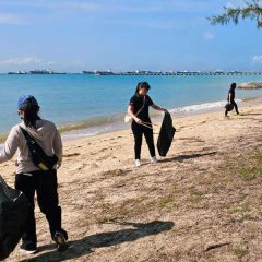 Working Hard to Pick the Litter