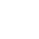 Insights