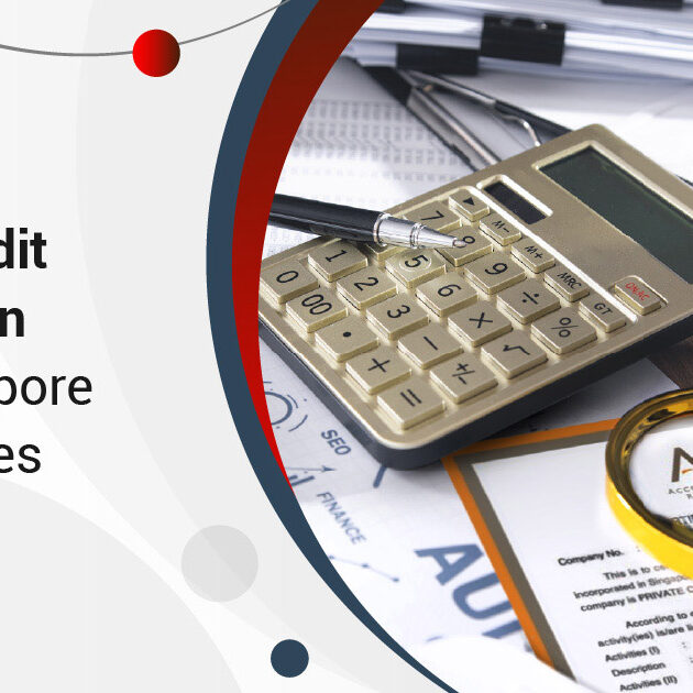 ACRA Audit Exemption for Singapore Companies