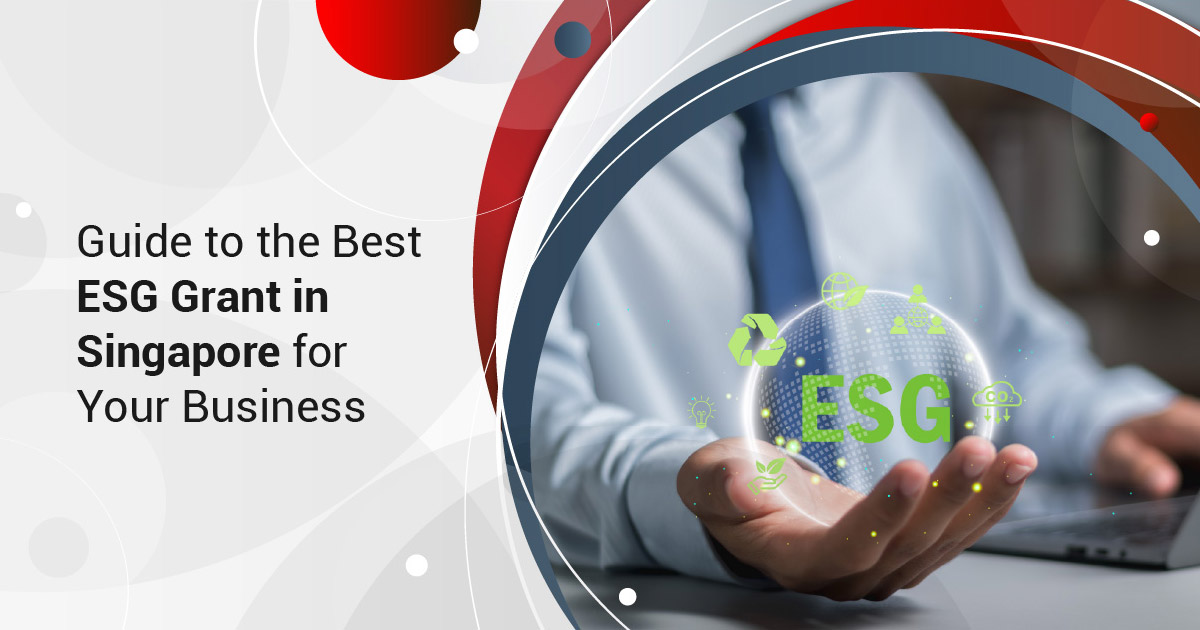 Guide to the Best ESG Grant in Singapore for Your Business