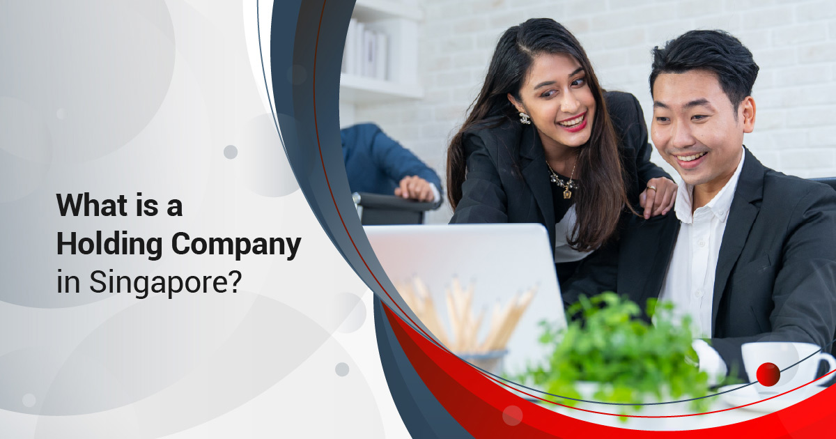 What is a Holding Company in Singapore?