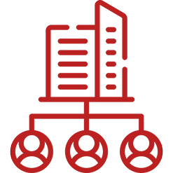 Corporate Structure Planning