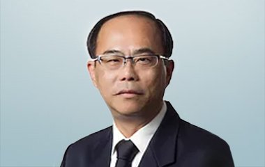Lim Lian Soon, FCA (Singapore) / FCCA (UK) / FCPA (Australia) / MSID / SIATP (Singapore)